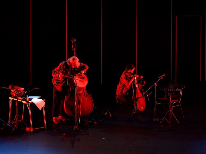 丁映瑄（上）封面　（攝影：本質是攝影工作室　照片提供：臺大藝文中心）